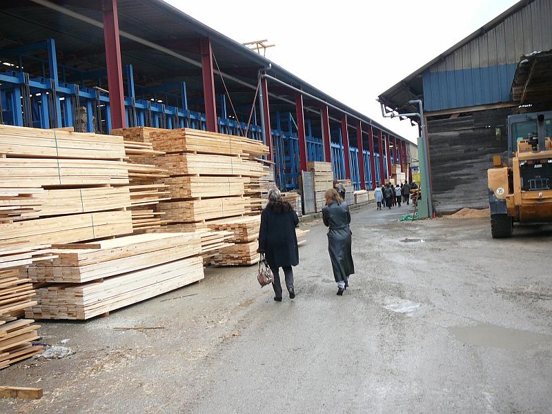 P1060334.JPG