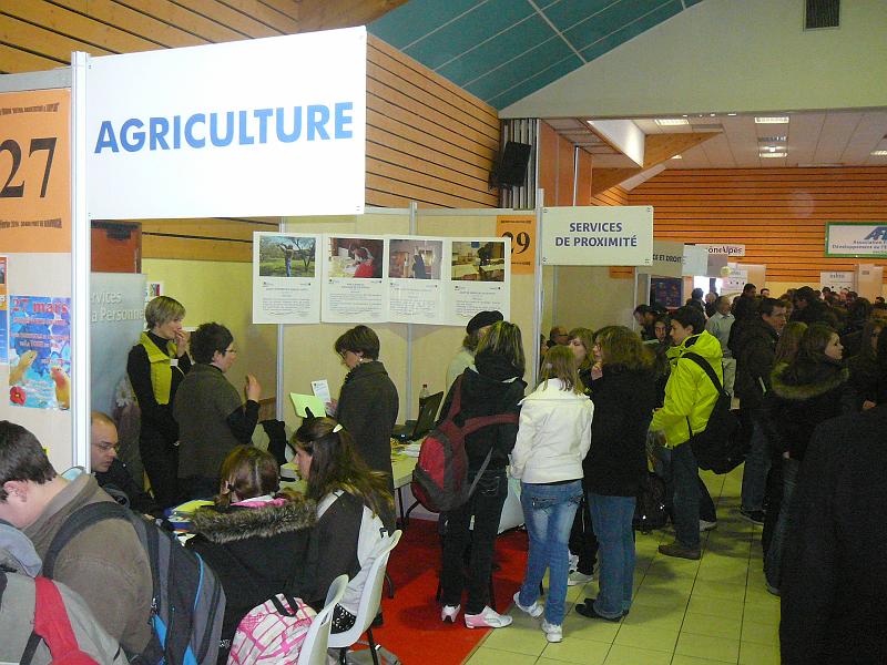 P1100190.JPG